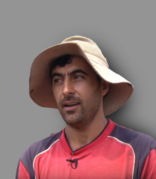 زهير عمرو