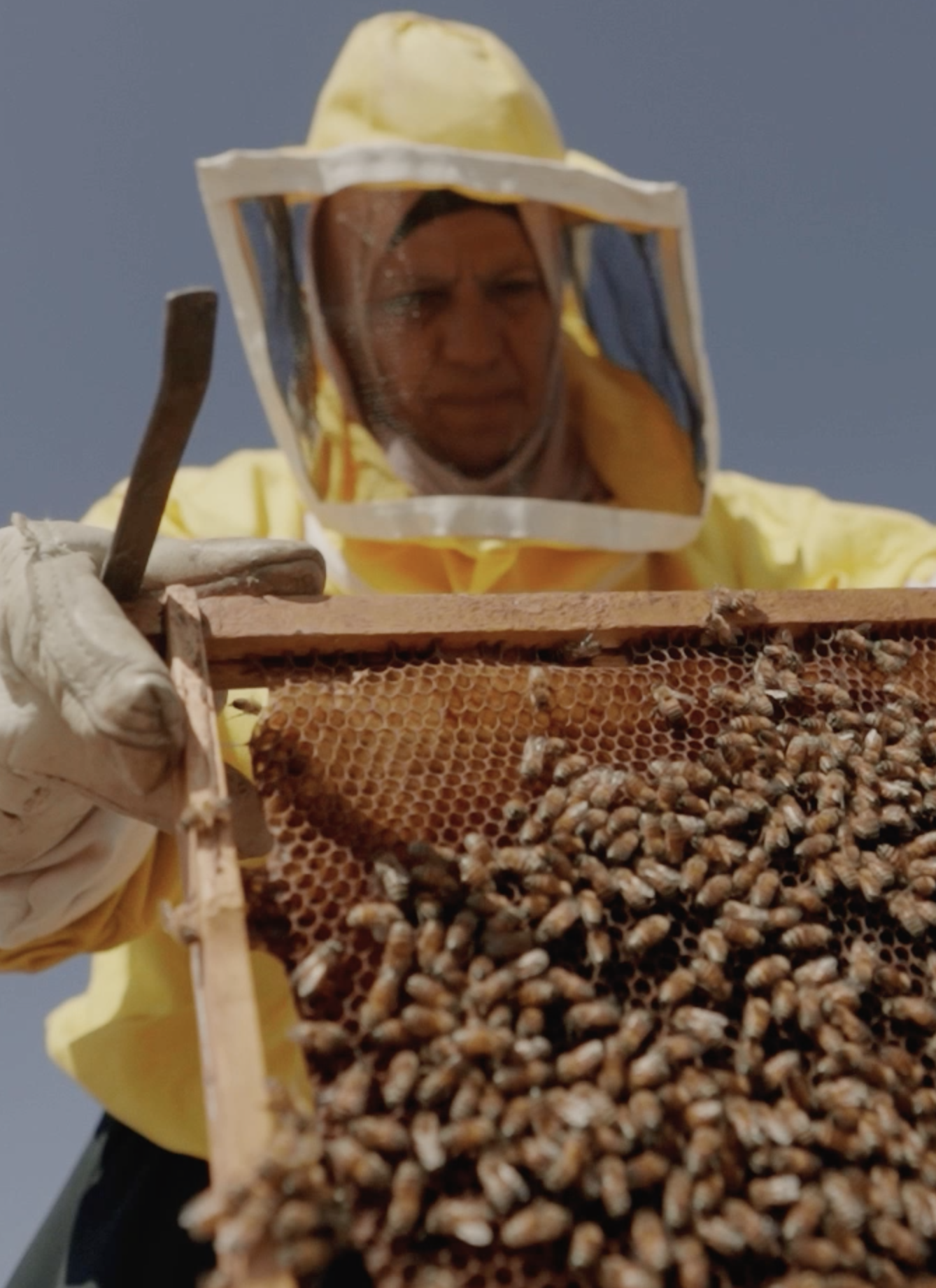 Screenshot 2025-10-27 at 3.31.37 PM